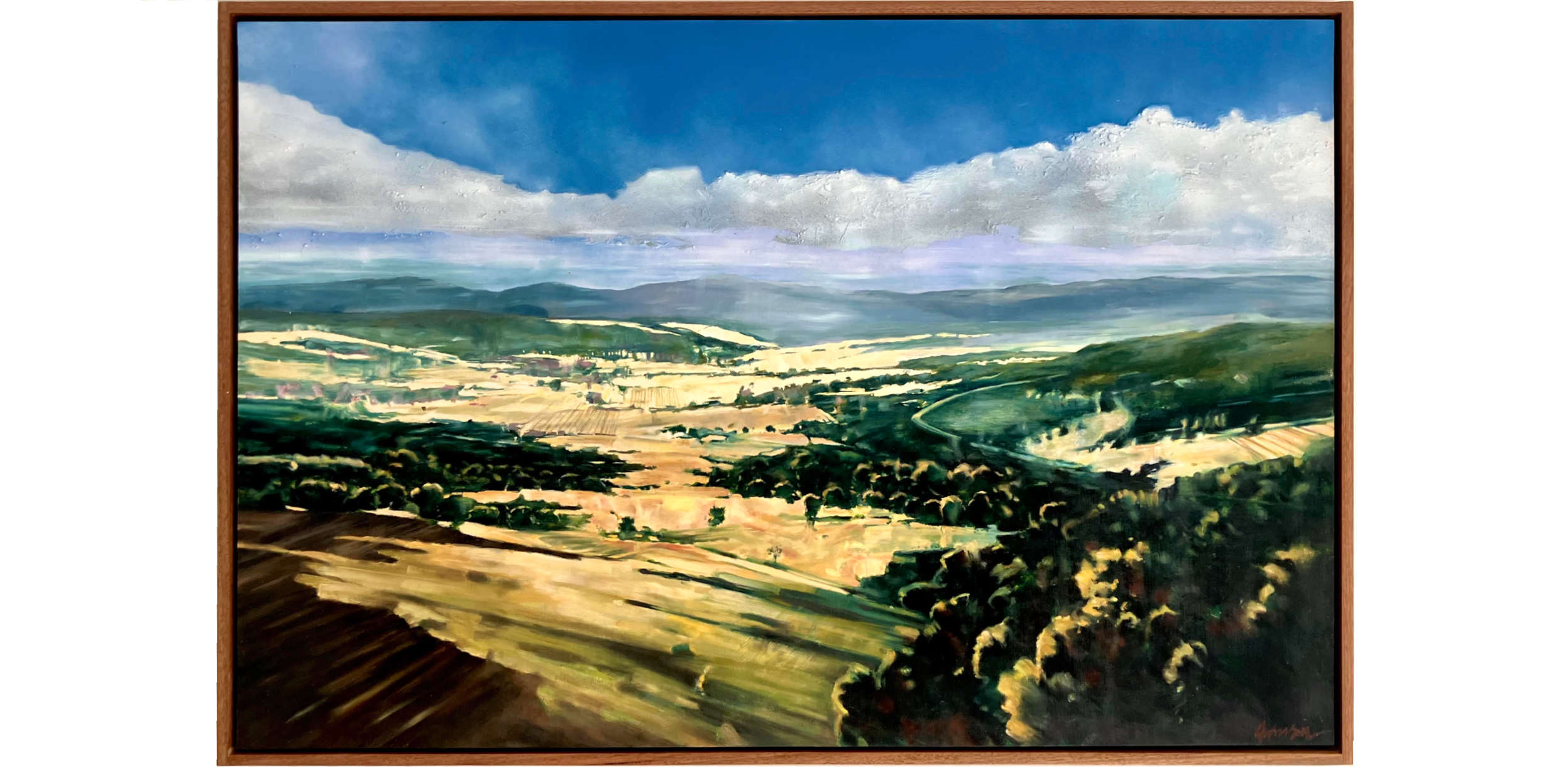 The Australian Landscape
